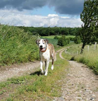 Fotowettbewerb Natur-Beitrag-Bild