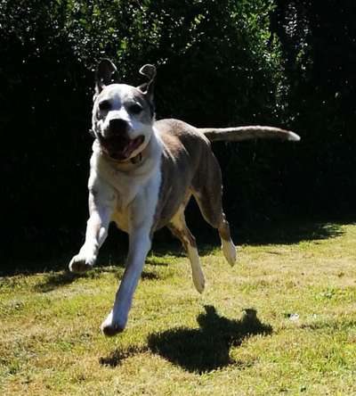 Handy-Foto-Challange Nr.9-Beitrag-Bild