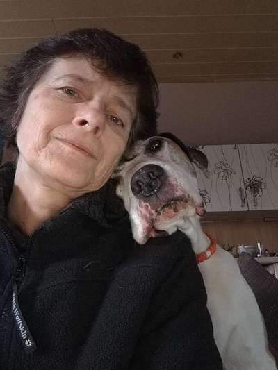 Handyfoto challenge Nr.7-Beitrag-Bild