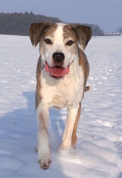 Handy-Foto-Challange Nr.9-Beitrag-Bild