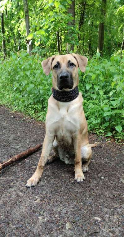 Doppelgänger gesucht !-Beitrag-Bild