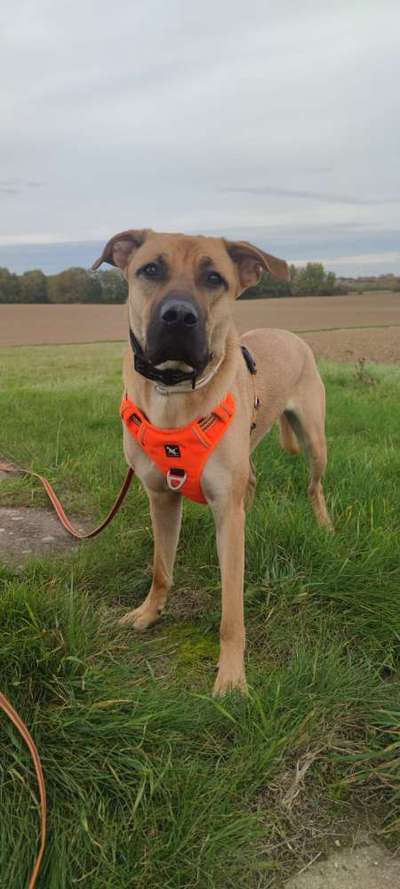 Doppelgänger gesucht !-Beitrag-Bild