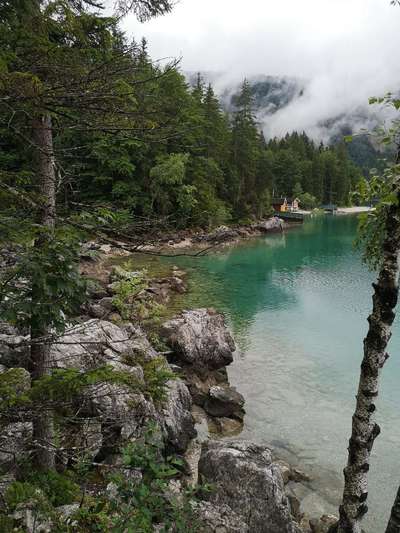 Die wunderschöne Welt mit Hund.-Beitrag-Bild