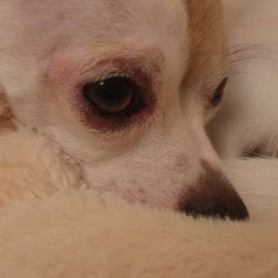 Starker Juckreiz - Bitte dringend um eure Hilfe-Beitrag-Bild