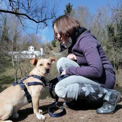 Wo habt ihr eure Hunde her ?-Beitrag-Bild