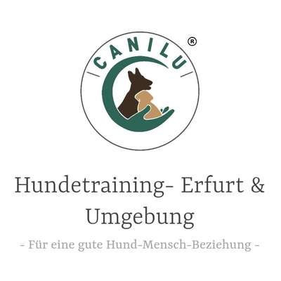 Hundeschulen-Canilu Hundetraining-Bild