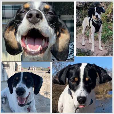 23. Collagen-Challenge: Portraits-Beitrag-Bild