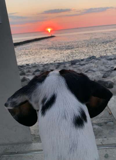 Fotochallenge Nr.100 Urlaubsimpressionen-Beitrag-Bild