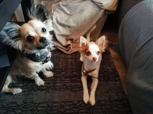 Danke ...-Beitrag-Bild