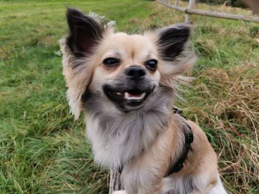 Das beste grinsefoto-Beitrag-Bild