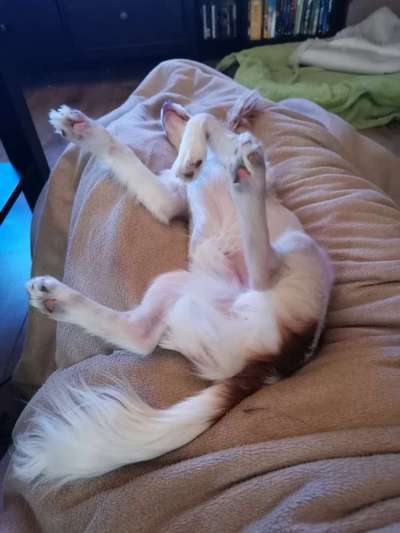 Verrückte Schlafpositionen-Beitrag-Bild