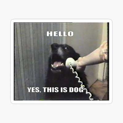 Hunde Memes-Beitrag-Bild