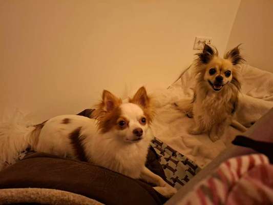 Was hat euch heute gefreut?-Beitrag-Bild