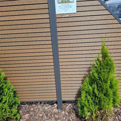 🌳 Hundepipi wegspülen – sinnvolle Idee oder übertriebener Aufwand?-Beitrag-Bild