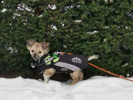 Pullis, Jacken, Hütte und alles sonstiges-Beitrag-Bild