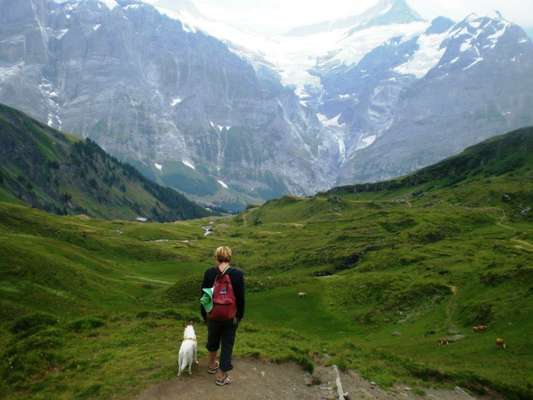 Challenge 41 - Mein Hund im Urlaub-Beitrag-Bild