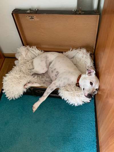 Zeigt her...-Beitrag-Bild