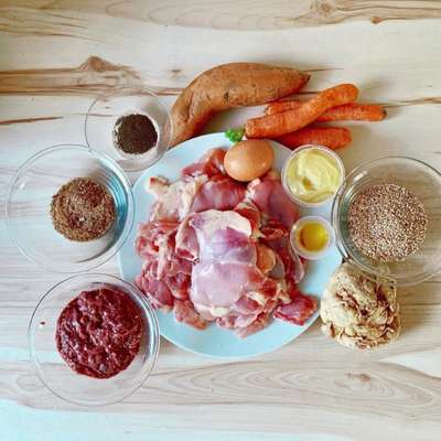 Ernährungsberater-NapfGucker-Bild