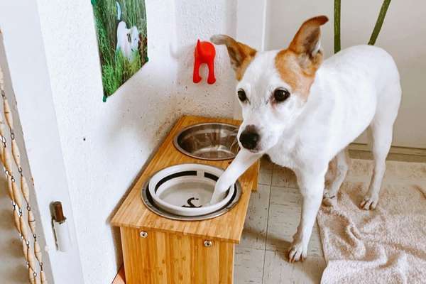 Fotochallenge 27-Beitrag-Bild