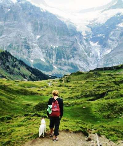 Die Dogorama Wochen Challenge-Beitrag-Bild