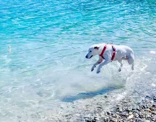 Fotochallenge 27-Beitrag-Bild