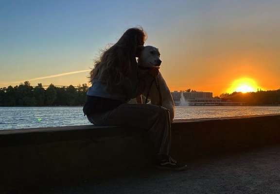 Die Dogorama Wochen Challenge-Beitrag-Bild