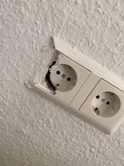 Zeig mir, dass du mit einem hund zusammenlebst....-Beitrag-Bild