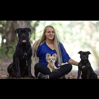 Hundefriseur Hunde- und Katzenparadies bei Denise in Kiel Ellerbek – Dogorama