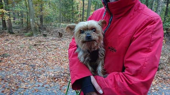 KUSCHEL PARTNER-Beitrag-Bild