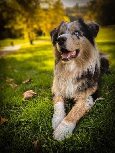 Herbst Bilder-Beitrag-Bild