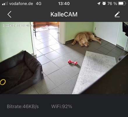 Überwachungskamera Training "Alleine bleiben"-Beitrag-Bild