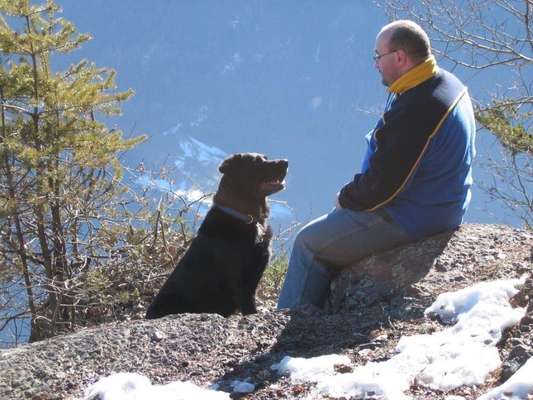 Ein neuer Hund nach dem Tod-Beitrag-Bild