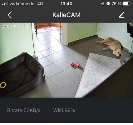 Überwachungskamera Training "Alleine bleiben"-Beitrag-Bild