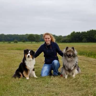 Hundeschulen-Ammerländer Pfoten Inh. Lisa Giebels-Bild