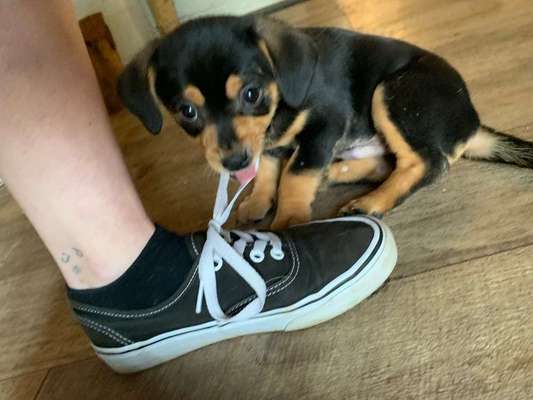 Vorher.... Nachher-Beitrag-Bild