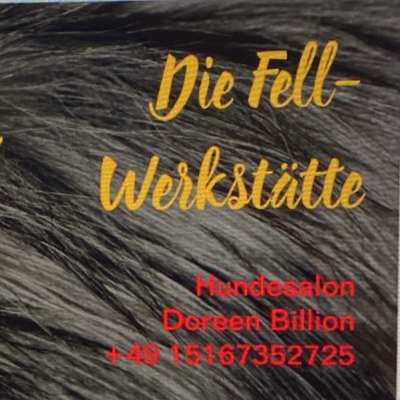 %{de_profession_title}-Hundesalon-Bild