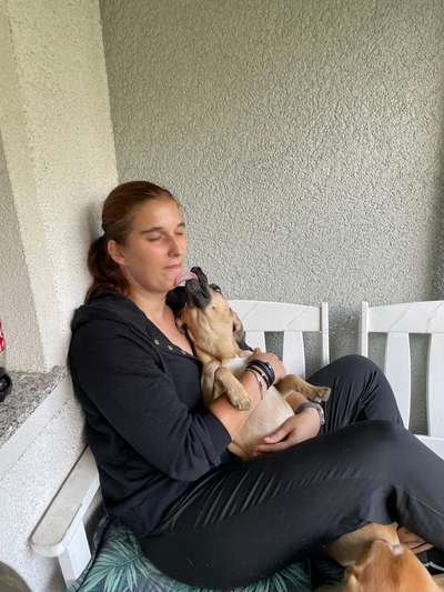 Dogorama Photo Challenge - Liebesbeweis-Beitrag-Bild