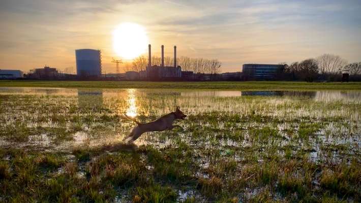 35. Handy Foto Challenge - Das nasse Element-Beitrag-Bild