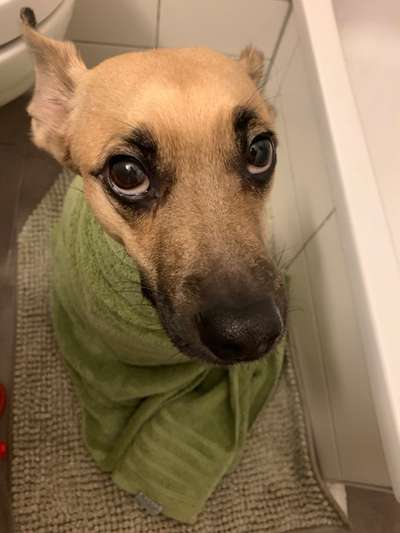 Fotochallenge 128-Beitrag-Bild