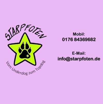 Hundeschulen-StarPfoten Hundeschule-Bild