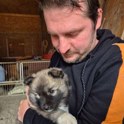 Hundetreffen-Hundefreund zum spielen gesucht
