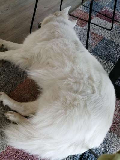 So viele Haare - ist das normal?-Beitrag-Bild