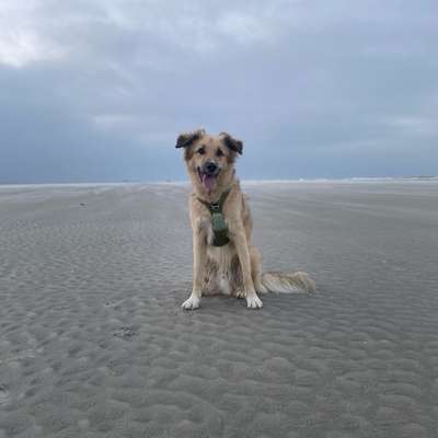 Suchmeldung-Fahri-Bild