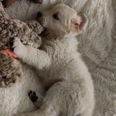 Foto Challenge 82-Beitrag-Bild