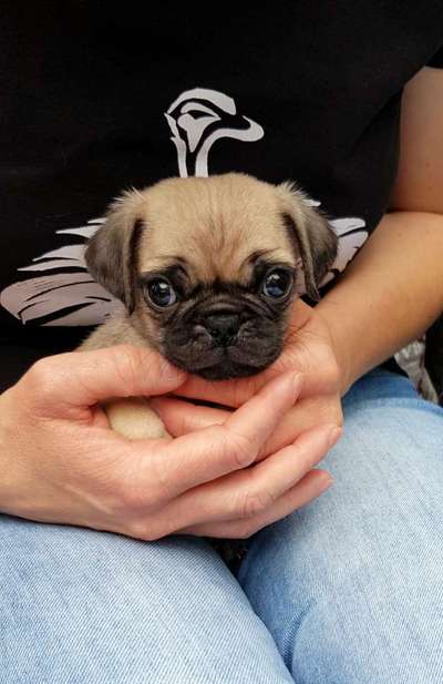 Erstes Bild-Beitrag-Bild