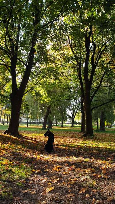 Herbst Bilder-Beitrag-Bild