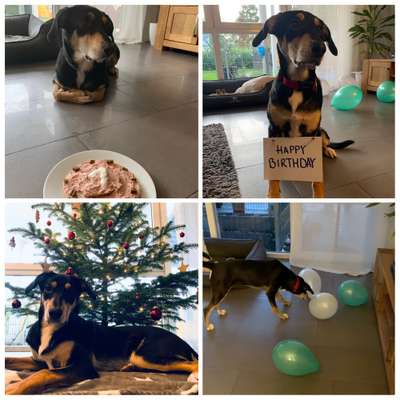 8. Collagen Challenge - Feste/Feierlichkeiten-Beitrag-Bild