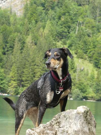 Fotochallenge Nr.100 Urlaubsimpressionen-Beitrag-Bild