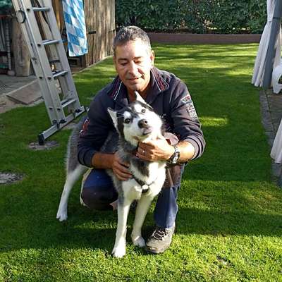 Hundetreffen-Gassirunde-Profilbild