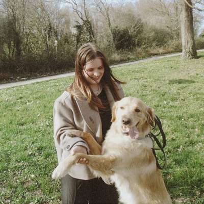 Hundetreffen-Gassirunde in Sulzbach - Hühnerfeld-Bild